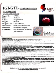 9.11 Ratti Natural Indian Ruby with Govt. Lab Certificate-(1221)